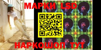 прущие крисы Гатчина