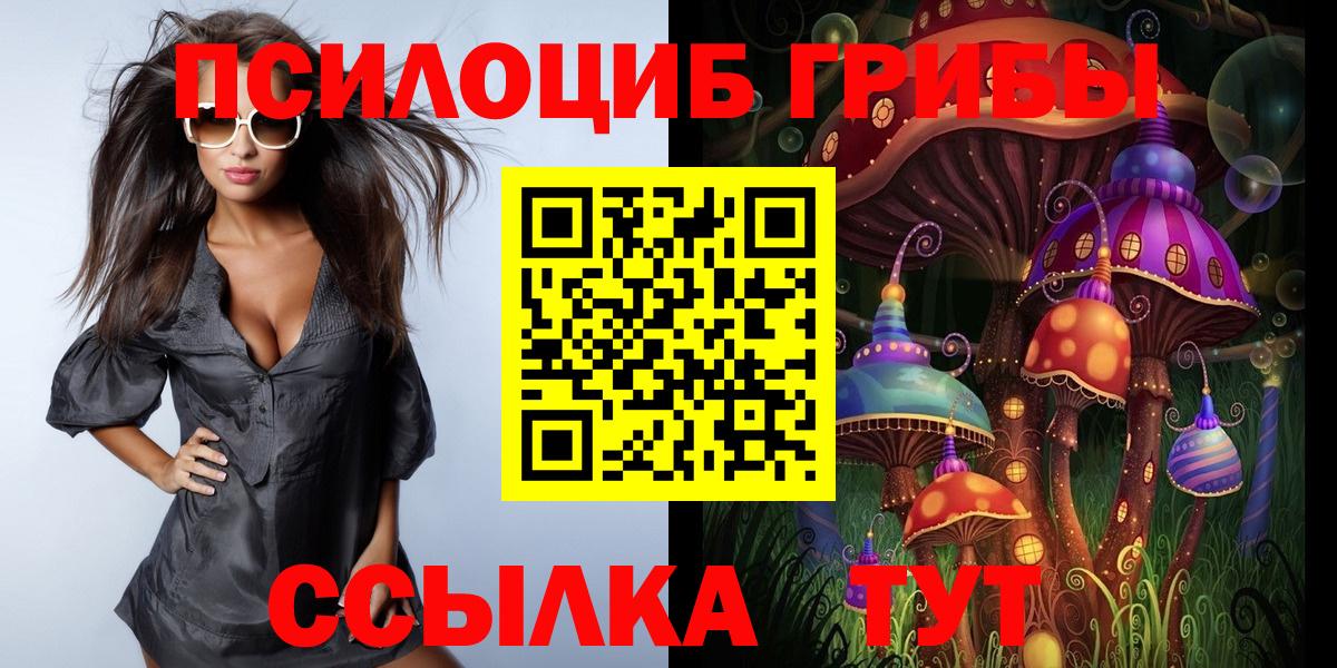 Псилоцибиновые грибы MAGIC MUSHROOMS  Псилоцибиновые грибы Psilocybe  Вход с VPN  Дербент 