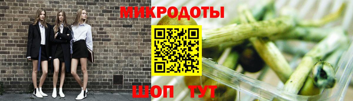 Псилоцибиновые грибы Psilocybine cubensis Дербент
